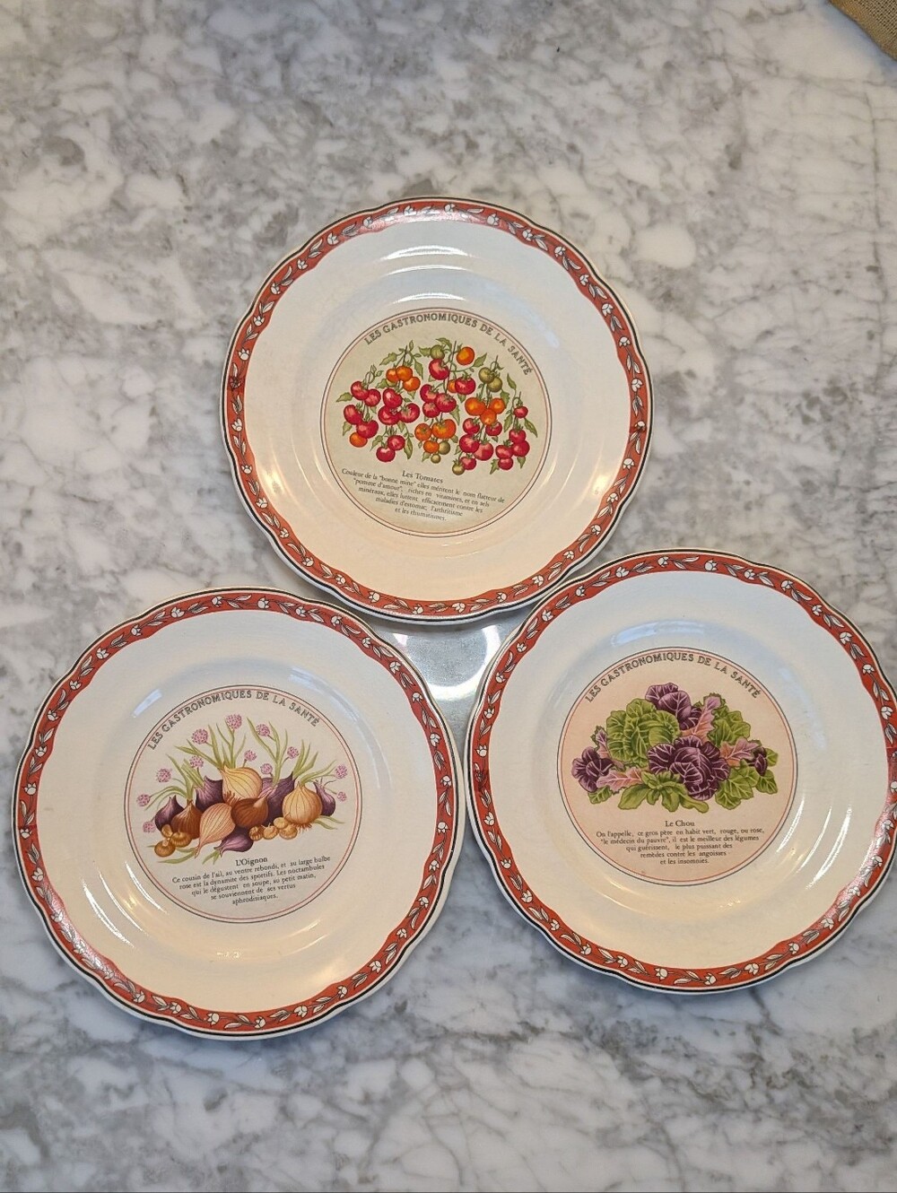 Gien France Les Gastronomiques De La Sante Vegetable Plates Set of 3 READ